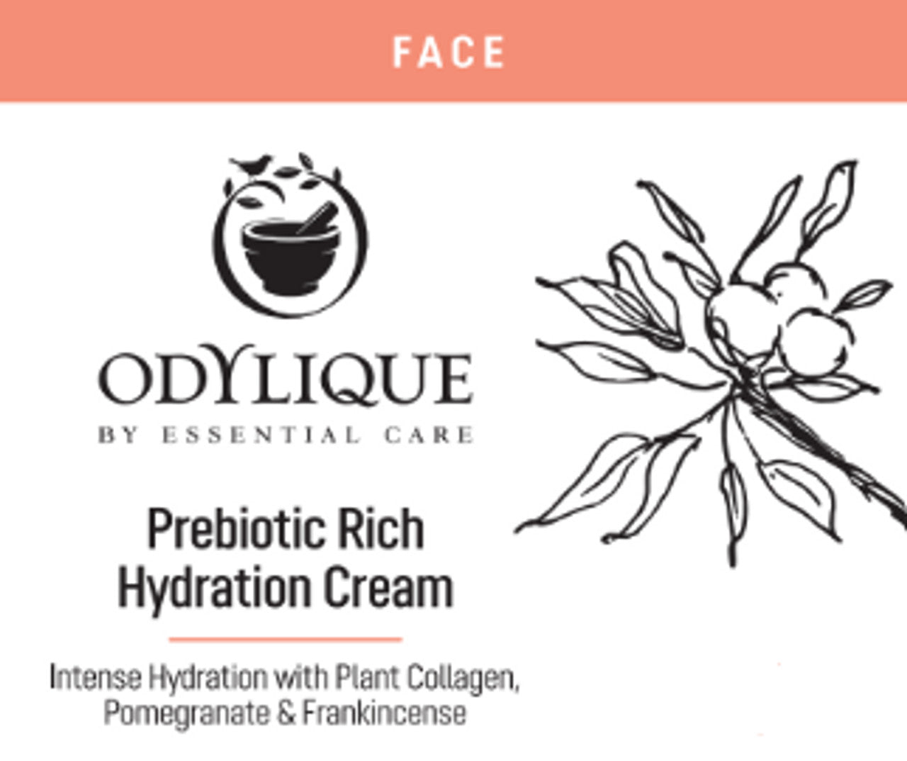 Crème Nourrissante Au Prébiotique *NOUVEAU*