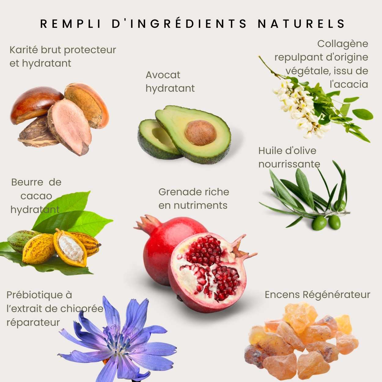 Crème  Nourrissante Au Prébiotique