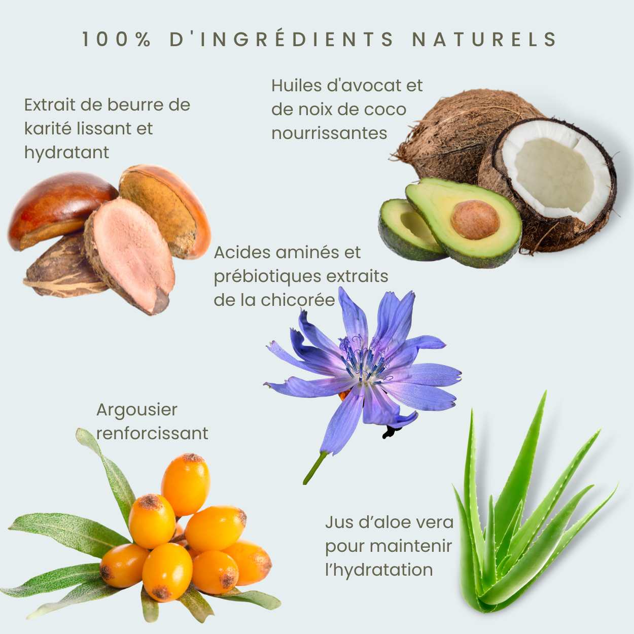 Après Shampoing Démêlant Lavande, Argousier & Prébiotique