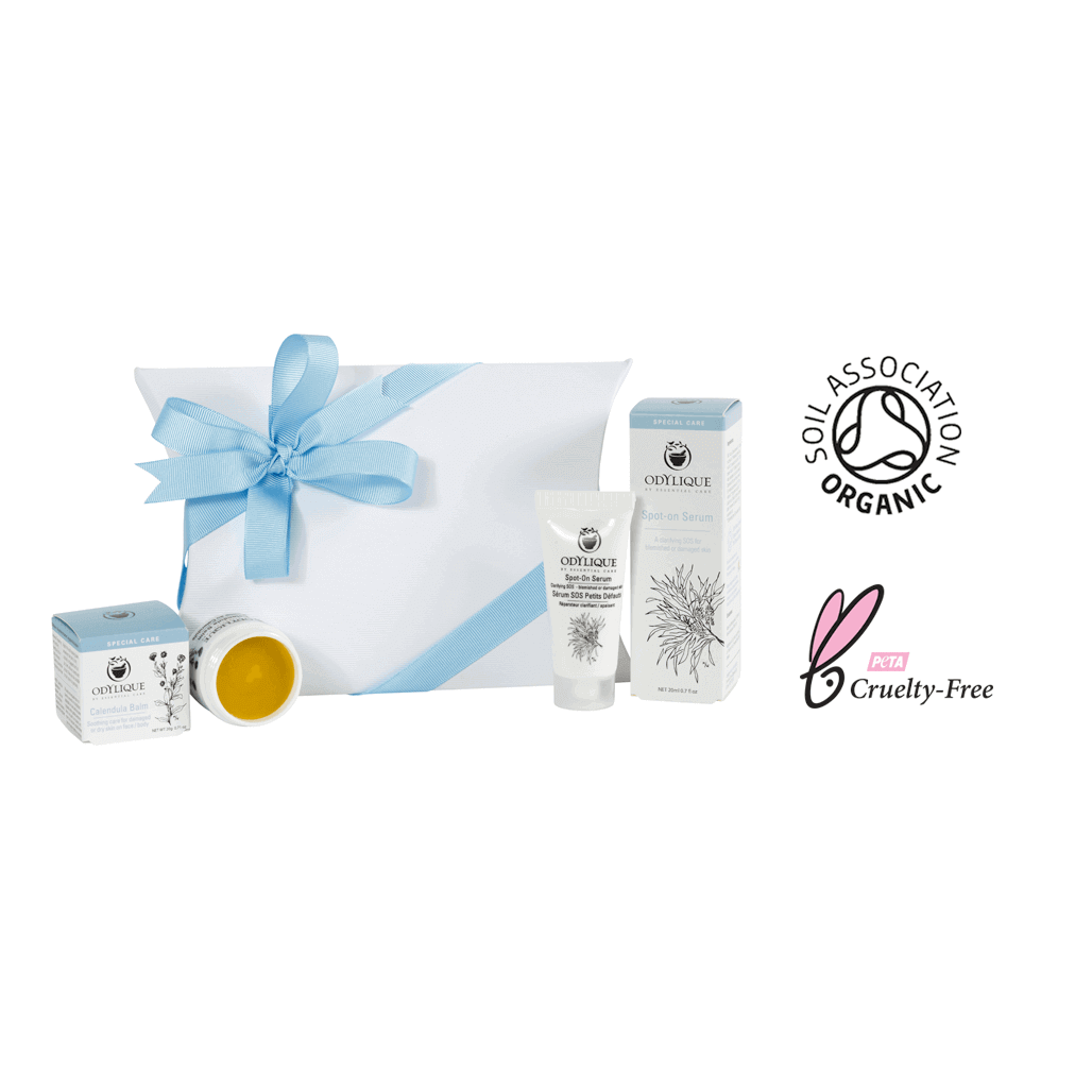 Le Kit Secours du Jardinier - Coffret Cadeau avec un duo de produits phare pour les mains mises à rude épreuve.