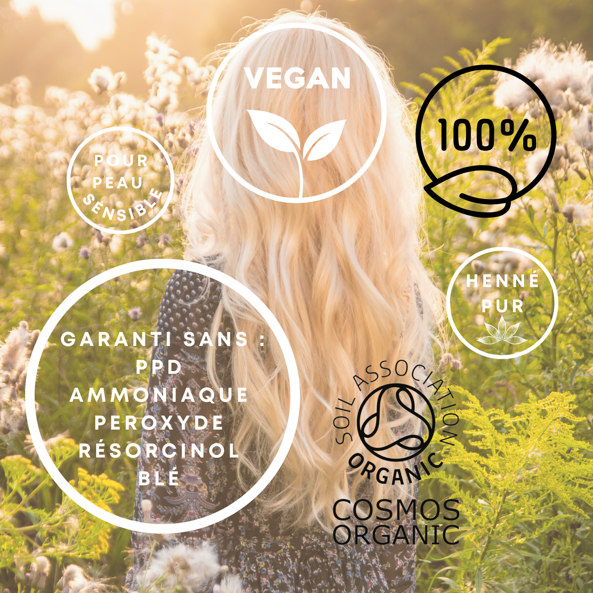 Coloration Végétale Blond Doré – Soin Naturel Sans PPD