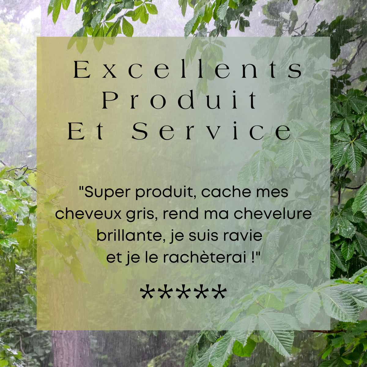 Coloration Végétale Châtain Noisette – Soin Naturel Sans PPD